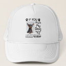 Search for chihuahua dogs baseball caps Pet