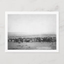 Search for herd postcards Photograph