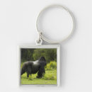 Search for mcdonalds key rings Africa