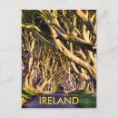 Search for hedge postcards Trees