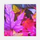 Search for fall tree magnets Colourful