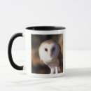 Search for barn owls mugs Wildlife