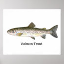 Search for trout fly posters Animal
