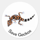Search for salamander stickers Nature