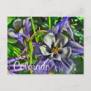 Search for columbine postcards Travel