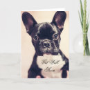 Search for french bulldog get well cards Dogs