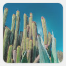 Search for prickly pear cactus stickers Desert