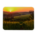Search for wheat photography Farm