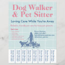 Search for pet sitter flyers Dog walking business