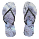 Search for sakura shoes Flowers