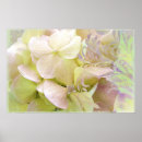 Search for note cards posters Floral