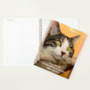 Search for kittis office supplies For kids