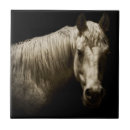 Search for western tiles Black