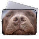 Search for a dog nose cases Pet