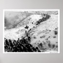 Search for cattle drive posters Vintage