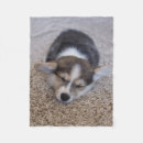 Search for pembroke welsh corgi blankets Queen elizabeth's