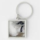 Search for blizzard key rings White