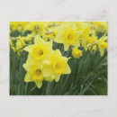 Search for horticulture postcards Nature