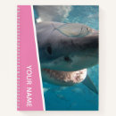 Search for shark girl Ocean