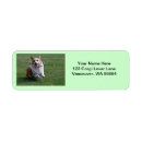 Search for herd dog return address labels Canine