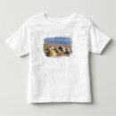 Search for sea shell tshirts Beach