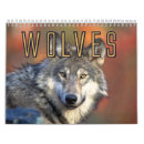Search for pack office supplies Wolves