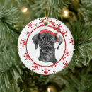 Search for black santa decor Black labrador retriever