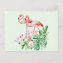 Search for flamingo flower postcards Exotic