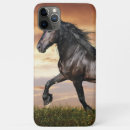 Search for black horse cases Animal