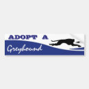 Search for greyhound bumper stickers Adopt