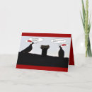 Search for funny pigeon cards Pigeons