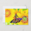 Search for monarch butterfly thank you cards Butterflies