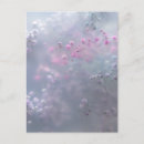 Search for blurred postcards Flowers