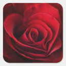 Search for aroma stickers Background