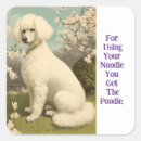 Search for noodle stickers Cute