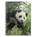 Search for panda bear notebooks Tree