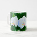 Search for white orchid mugs Orchids