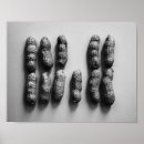 Search for modern kitchen art posters Fun