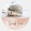 Search for cute hedgehogs stickers Nature