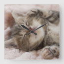 Search for photo nursery clocks Kitten