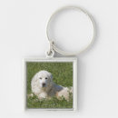 Search for full length key rings Domestic animals