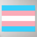 Search for trans pride posters Transgender flag