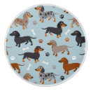 Search for bones knob Dog