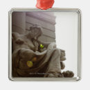 Search for american history christmas tree decorations Outdoors