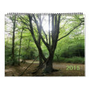 Search for secrets office supplies Nature