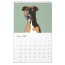 Search for boxer dog calendars Puppy