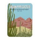 Search for pipe magnets Cacti