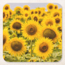 Search for field barware Summer