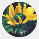 Search for black eyed susan flower stickers Nature