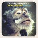 Search for monkey coasters Wildlife